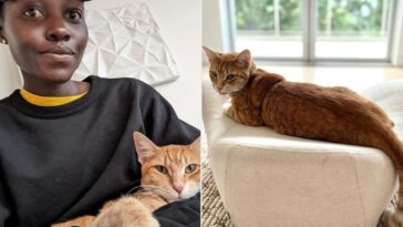 Lupita Nyong'o Adopts Cat, Says It's New Companion Saving Her After Break Up. PHOTO COURTESY