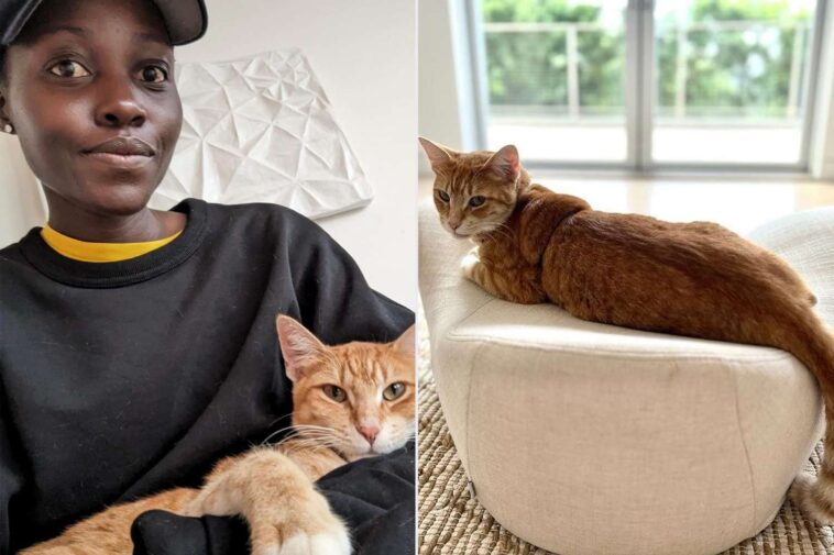 Lupita Nyong'o Adopts Cat, Says It's New Companion Saving Her After Break Up. PHOTO COURTESY