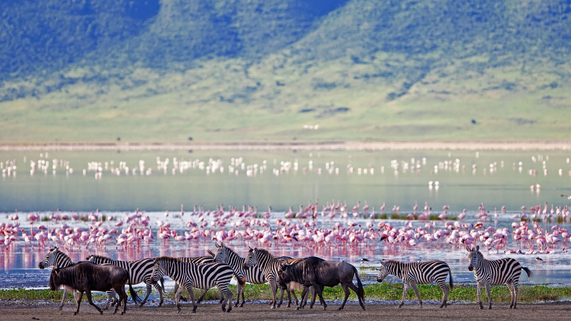 Ngorongoro Crater, Tanzania. photo COURTESY